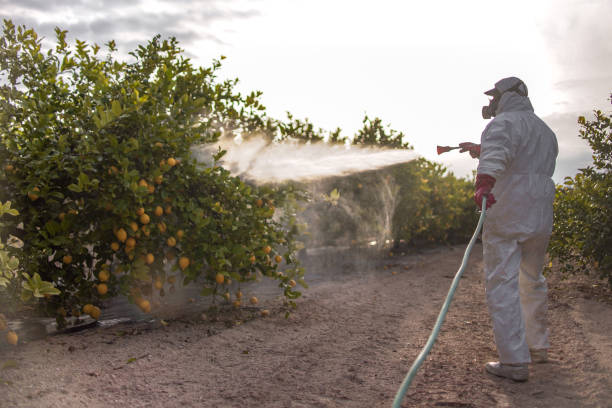 Best Commercial Pest Control Services  in Carthage, TX