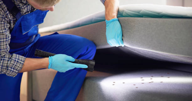 Best Emergency Pest Control  in Carthage, TX