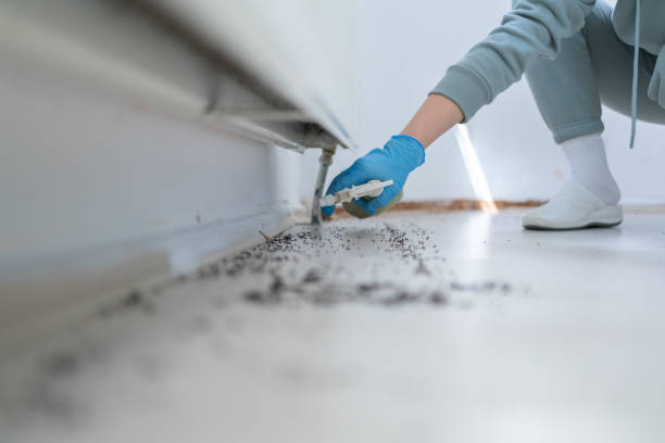 Best Affordable Pest Control Services  in Carthage, TX