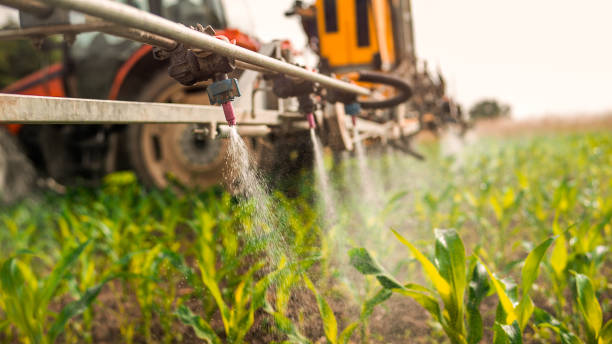 Insect Control in Carthage, TX