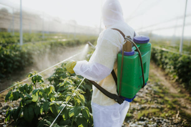 Best Affordable Pest Control Services  in Carthage, TX